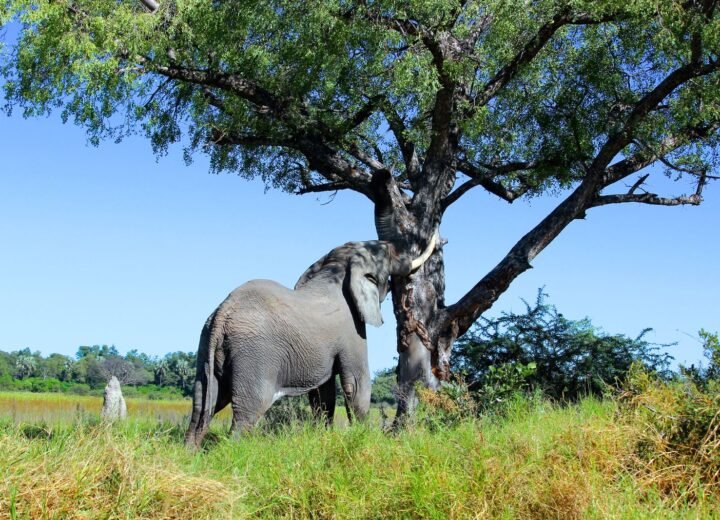 18 Days East Africa Grand Explorer Safari
