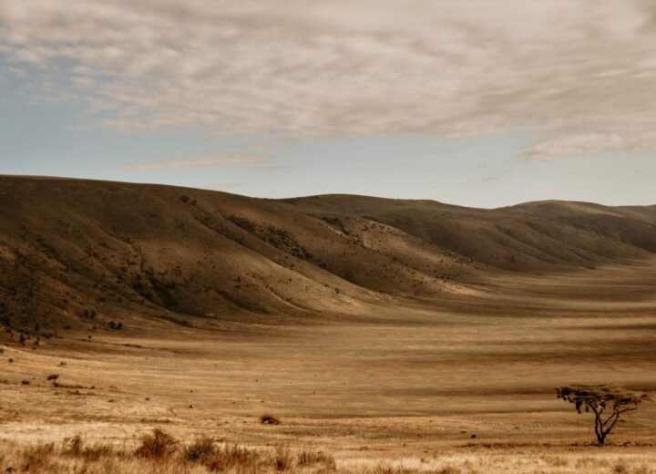 3 Days Ngorongoro Crater and Tarangire Safari