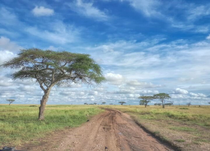 4 Days Serengeti Fly-In Safari