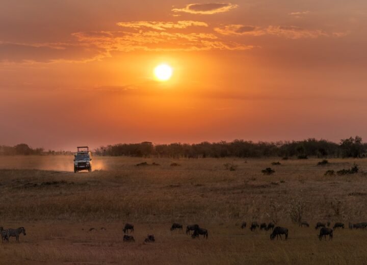 4 Days Maasai Mara Great Migration Safari