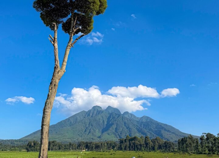 4 Days Volcanoes National Park and Lake Kivu Safari