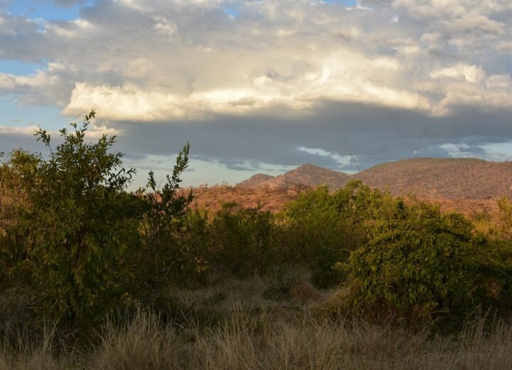 7 Days Nyerere and Ruaha Fly-In Safari