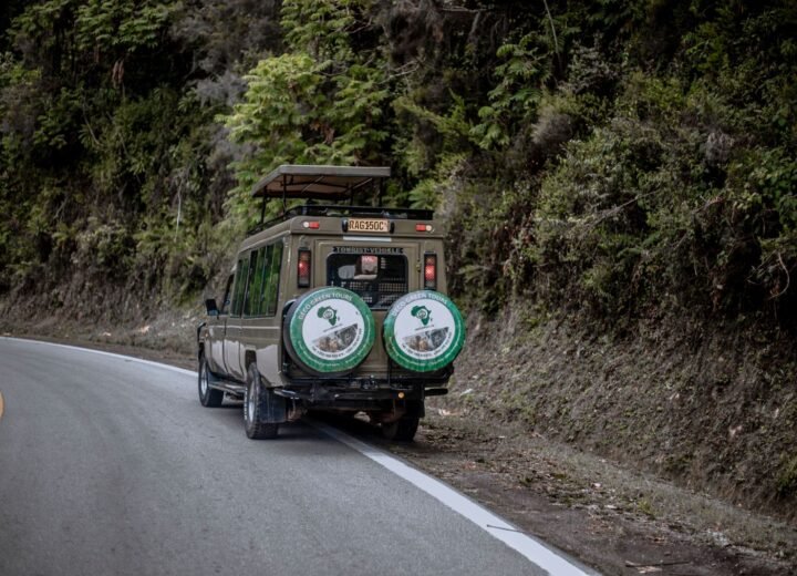 8 Days Burundi and Rwanda Cultural Highlands Safari