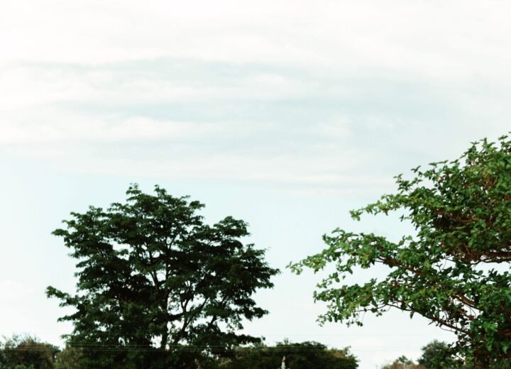 8 Days Kidepo and Murchison Wilderness Safari