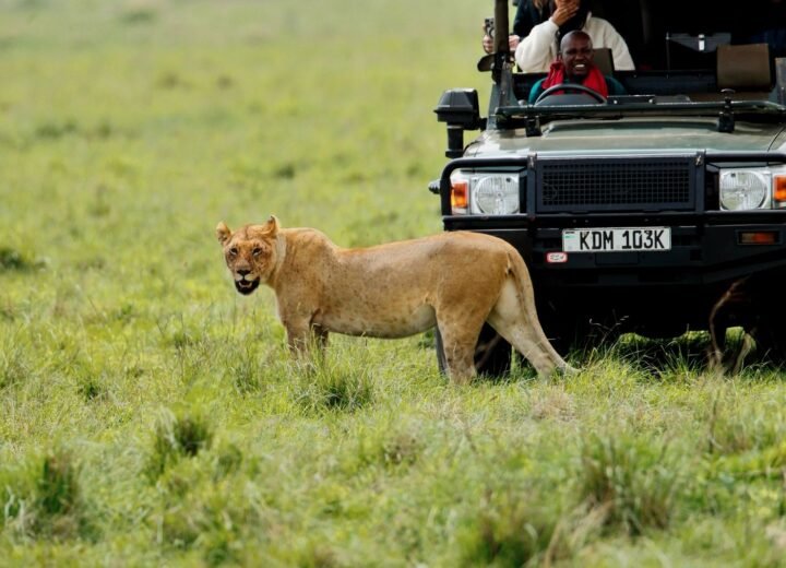 8 Days Maasai Mara, Samburu and Amboseli Safari