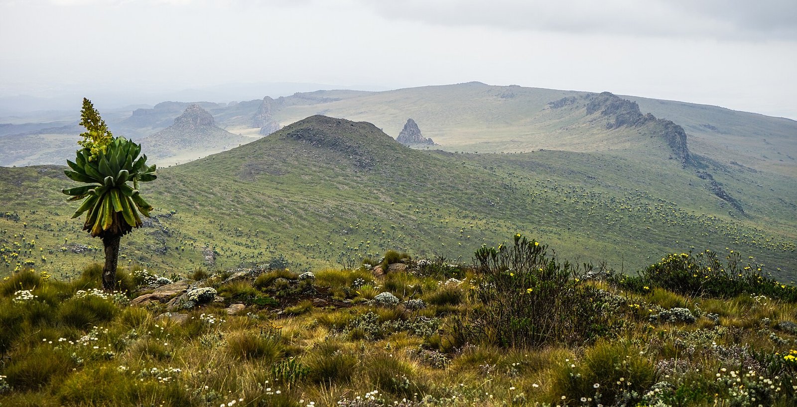 Mountain landscape in Mount Kenya National Park, Kenya