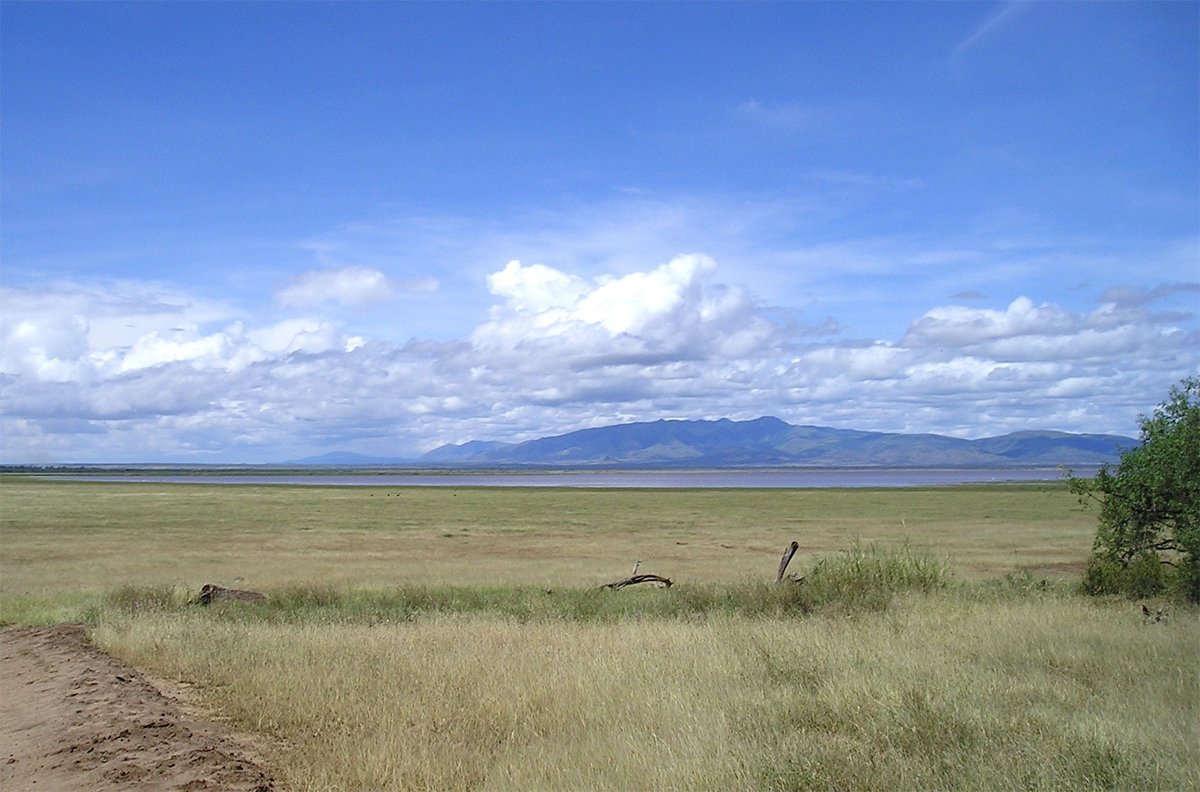 Giraffes in Arusha National Park, Tanzania