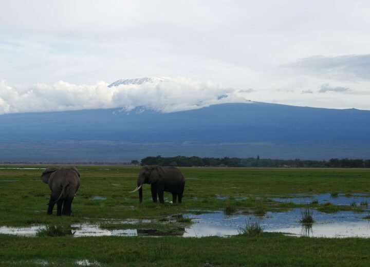 Amboseli National Park