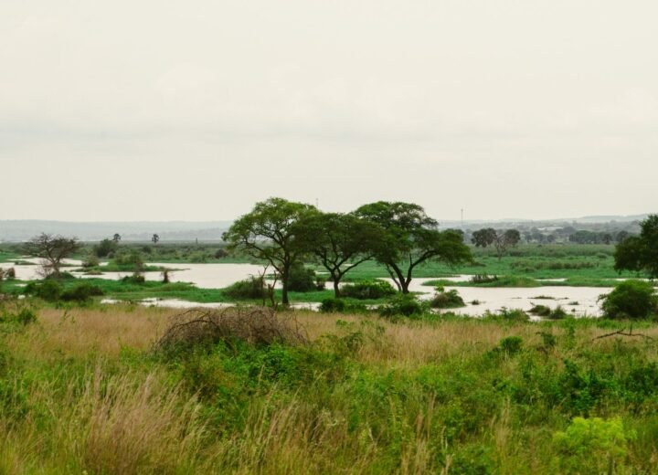 Murchison Falls National Park