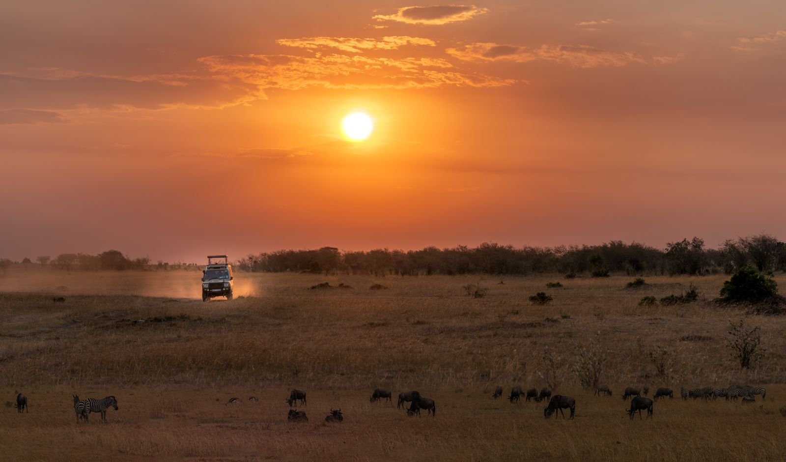 Lioness and cub together on the savannah in Nairobi, Kenya
