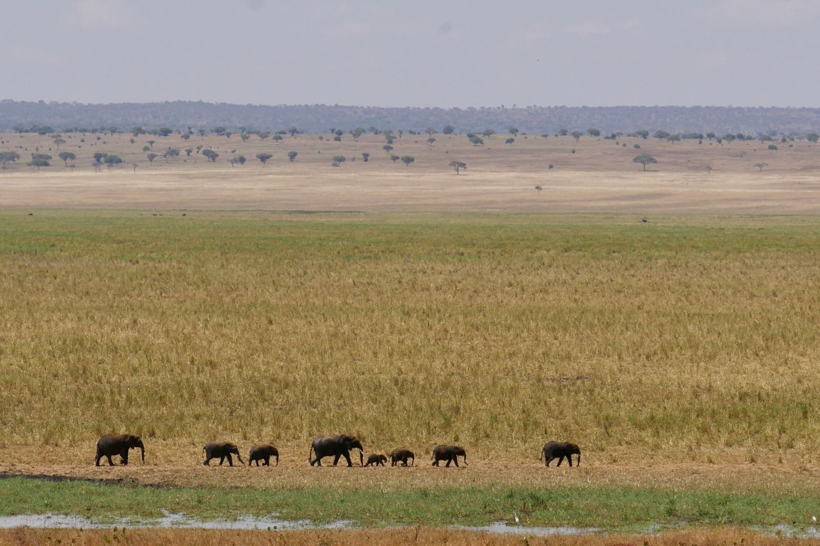 View of Lake Manyara from Lake Manyara National Park, Tanzania