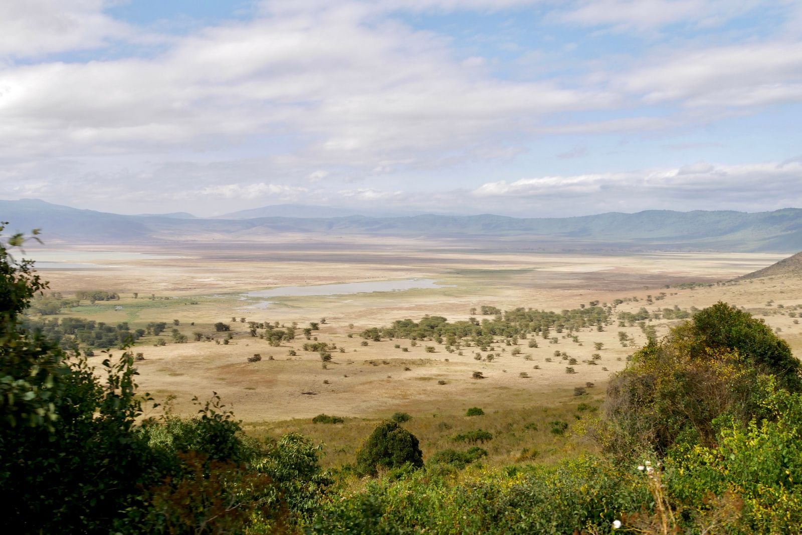 Elephant herd in Tarangire, Tanzania