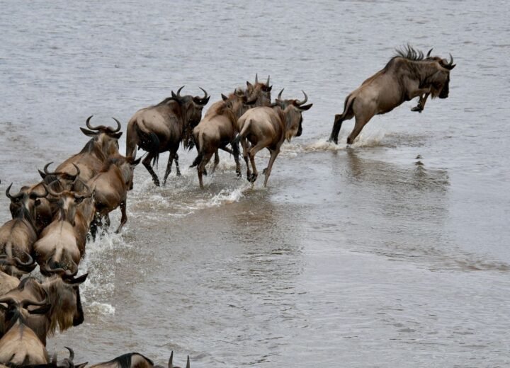 Serengeti National Park