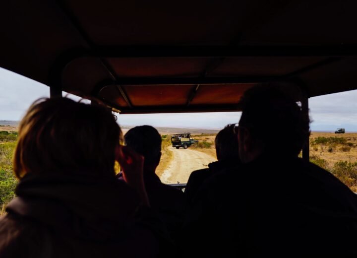 Solo Female Safari Planning Guide